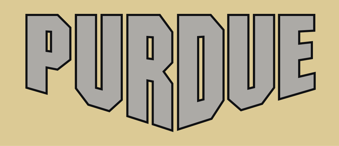 Purdue Boilermakers 2012-Pres Wordmark Logo v5 iron on transfers for clothing